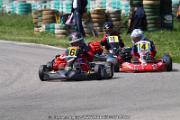 20110501_ales_agnus (2414)